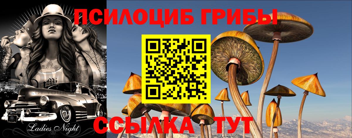 Галлюциногенные грибы ЛСД Севастополь